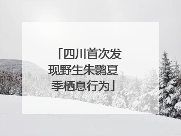 四川首次发现野生朱鹮夏季栖息行为