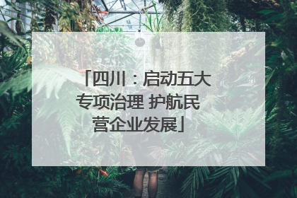 四川：启动五大专项治理 护航民营企业发展