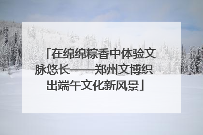 在绵绵粽香中体验文脉悠长——郑州文博织出端午文化新风景