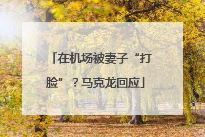 在机场被妻子“打脸”？马克龙回应