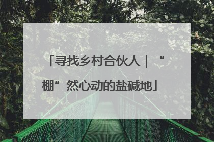 寻找乡村合伙人｜“棚”然心动的盐碱地
