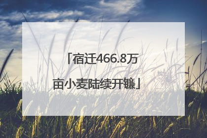 宿迁466.8万亩小麦陆续开镰