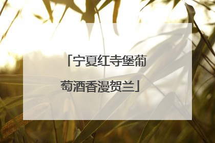 宁夏红寺堡葡萄酒香漫贺兰