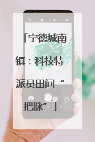 宁德城南镇：科技特派员田间“把脉”