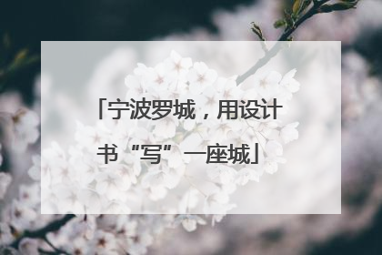 宁波罗城，用设计书“写”一座城
