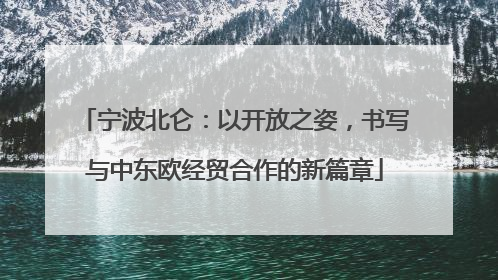 宁波北仑：以开放之姿，书写与中东欧经贸合作的新篇章