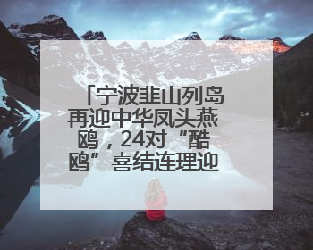 宁波韭山列岛再迎中华凤头燕鸥，24对“酷鸥”喜结连理迎接新生命