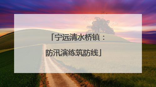宁远清水桥镇：防汛演练筑防线