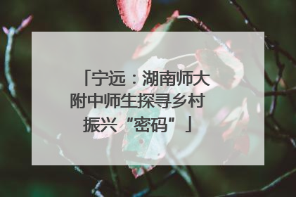 宁远：湖南师大附中师生探寻乡村振兴“密码”