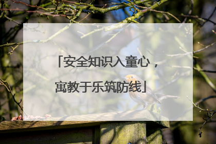 安全知识入童心，寓教于乐筑防线