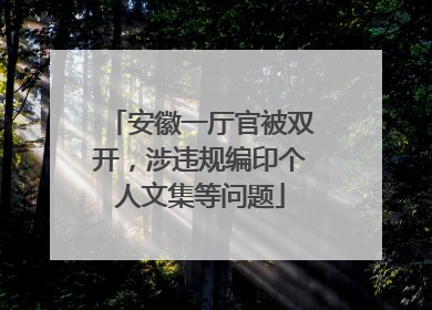 安徽一厅官被双开，涉违规编印个人文集等问题