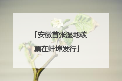 安徽首张湿地碳票在蚌埠发行