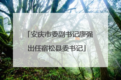 安庆市委副书记廖强出任宿松县委书记