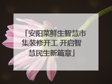 安阳菜鲜生智慧市集装修开工 开启智慧民生新篇章