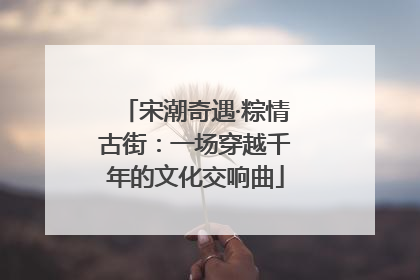 宋潮奇遇·粽情古街：一场穿越千年的文化交响曲