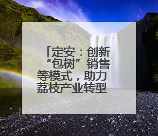 定安：创新“包树”销售等模式，助力荔枝产业转型升级和品牌打造