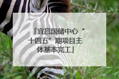 宜昌国储中心“十四五”期项目主体基本完工