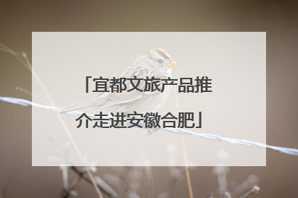 宜都文旅产品推介走进安徽合肥