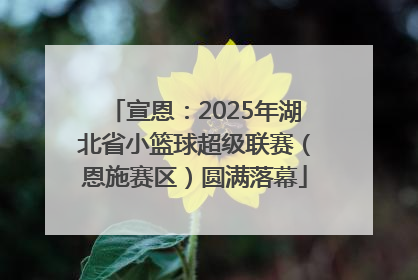 宣恩：2025年湖北省小篮球超级联赛（恩施赛区）圆满落幕