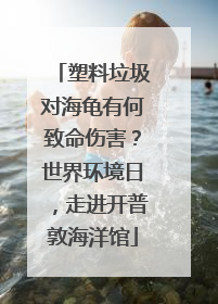 塑料垃圾对海龟有何致命伤害？世界环境日，走进开普敦海洋馆