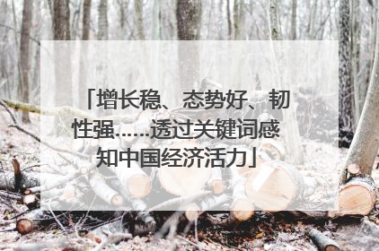 增长稳、态势好、韧性强……透过关键词感知中国经济活力