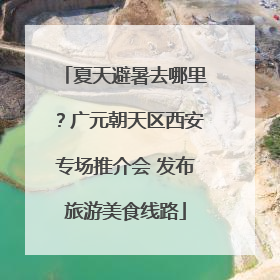 夏天避暑去哪里？广元朝天区西安专场推介会 发布旅游美食线路