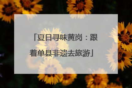 夏日寻味黄岗：跟着单县非遗去旅游