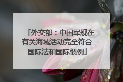 外交部：中国军舰在有关海域活动完全符合国际法和国际惯例