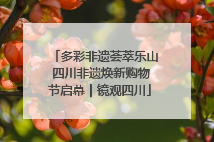 多彩非遗荟萃乐山 四川非遗焕新购物节启幕｜镜观四川