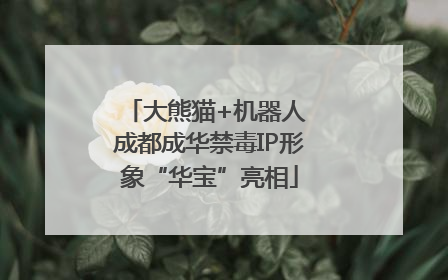 大熊猫+机器人 成都成华禁毒IP形象“华宝”亮相