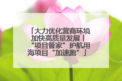 大力优化营商环境 加快高质量发展丨“项目管家”护航用海项目“加速跑”