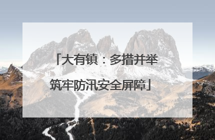 大有镇：多措并举筑牢防汛安全屏障