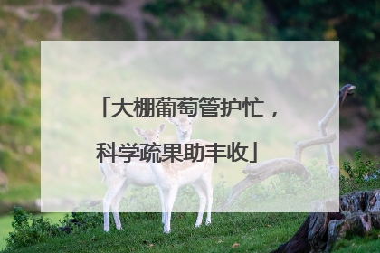 大棚葡萄管护忙，科学疏果助丰收