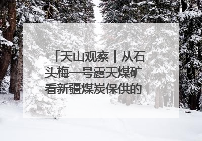 天山观察｜从石头梅一号露天煤矿看新疆煤炭保供的量与“智”