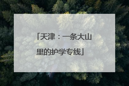 天津：一条大山里的护学专线