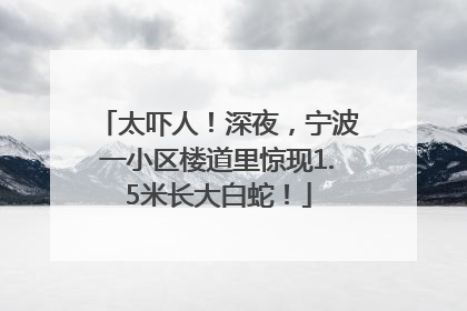 太吓人！深夜，宁波一小区楼道里惊现1.5米长大白蛇！