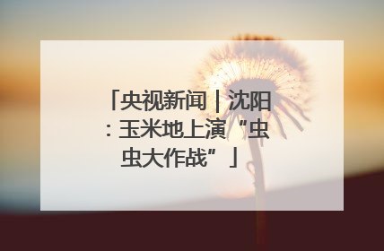 央视新闻｜沈阳：玉米地上演“虫虫大作战”