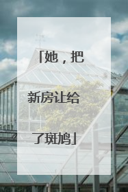 她，把新房让给了斑鸠