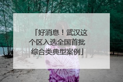 好消息！武汉这个区入选全国首批综合类典型案例