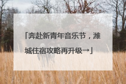 奔赴新青年音乐节，潍城住宿攻略再升级→