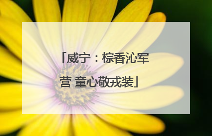 威宁：棕香沁军营 童心敬戎装