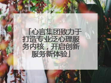 心言集团致力于打造专业泛心理服务内核，开启创新服务新体验