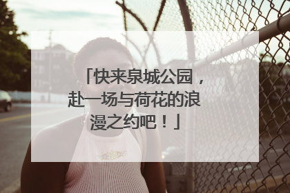 快来泉城公园，赴一场与荷花的浪漫之约吧！