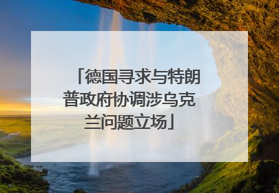 德国寻求与特朗普政府协调涉乌克兰问题立场