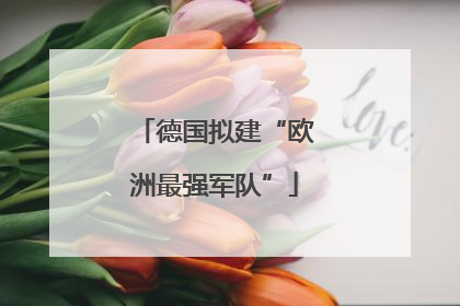 德国拟建“欧洲最强军队”