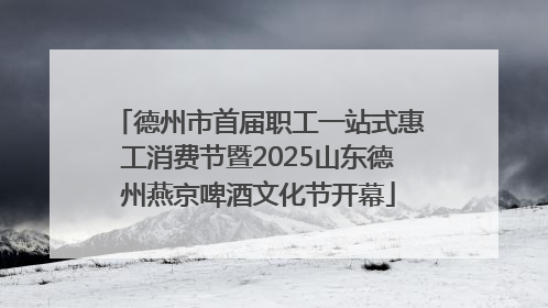 德州市首届职工一站式惠工消费节暨2025山东德州燕京啤酒文化节开幕