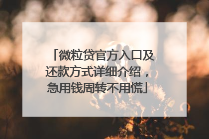 微粒贷官方入口及还款方式详细介绍，急用钱周转不用慌
