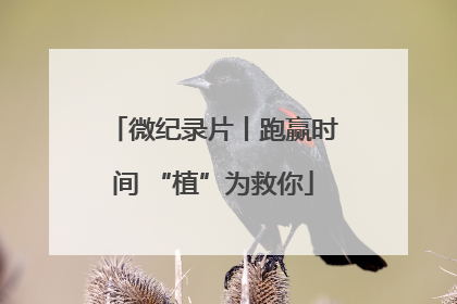 微纪录片丨跑赢时间 “植”为救你