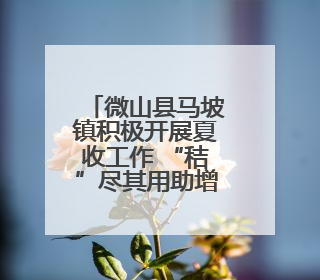微山县马坡镇积极开展夏收工作 “秸”尽其用助增收