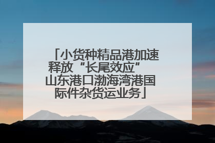 小货种精品港加速释放“长尾效应” 山东港口渤海湾港国际件杂货运业务